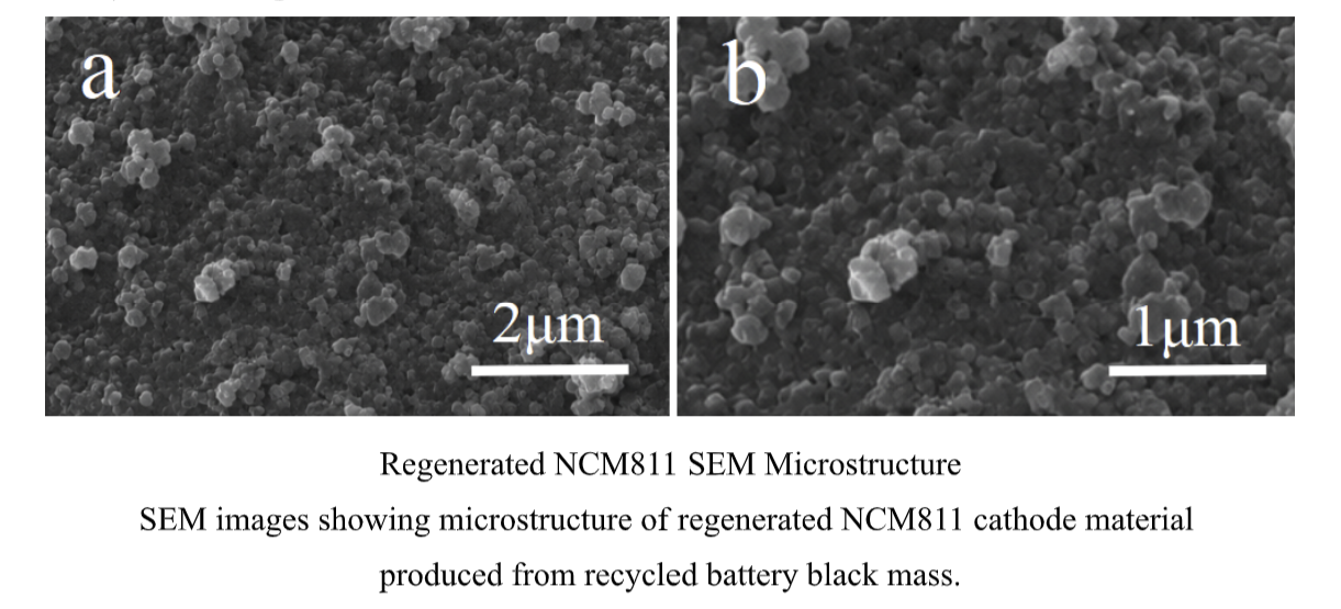 SEM images of regenerated NCM811 particles